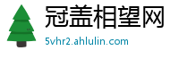 冠盖相望网